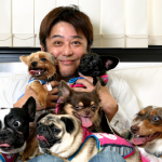 【画像】新番組「バイキング」 潔癖性で有名なMC坂上忍は犬が大好き？飼っている犬が可愛すぎる！